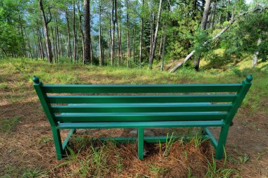 Bench, Eco Park, Deodars Guest House, Papersali, Almora, Uttarakhand, India, Asia clipart