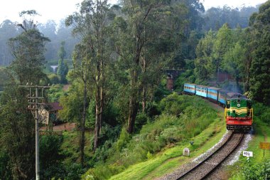 Ooty 'ye giden tren mettopalaiym, Tamil Nadu, Hindistan