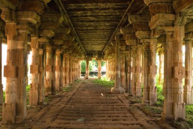 Kunnandarkoil 'deki Kalyana mandapam sütun salonu, Kundrandarkoil Pudukkottai, Tamil Nadu, Hindistan.