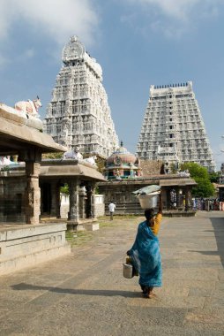 Thiruvannamalai Tapınağı; Tamil Nadu; Hindistan