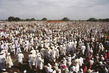 Palkhi, Pandharpur yatra, pandharpur, maharashtra, Hindistan 'da toplanan fanatikler 