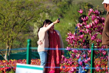 woman taking selfie in Indira Gandhi Memorial Tulip Garden, Kashmir, India, Asia clipart