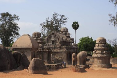 Pancha Rathas Kral Mamalla (Narasimhavarman I, c. 630 - 670) Monolit kaya oyma tapınakları, Mahabalipuram, Chengalpattu bölgesi, Tamil Nadu, Hindistan UNESCO Dünya Mirası 