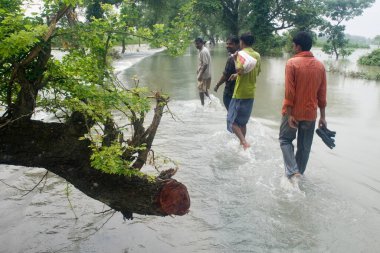2008 yılında büyük oranda yoksulluk sınırının altında acı çeken Kosi nehri seli Purniya ilçesinde, Bihar 'da, Hindistan' da,