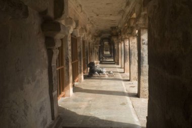 Nandin veya Brihadeshwara Tapınağı 'ndaki Boğa Yapısı' nın içindeki Büyük Tapınak MS 10. yüzyılda Raja Chola tarafından yapılmış ve Tanjavur, Tamil Nadu, Hindistan 'da Lord Shiva' ya ithaf edilmiştir. 