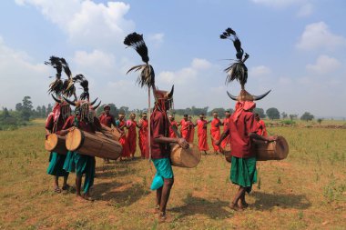 Bison horn dancers, bastar, chhattisgarh, india, asia clipart