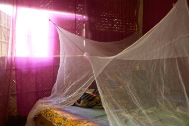 Pembe perdeli bir barakanın içi ve beyaz sivrisinek ağı kaplı yatak, Goa, Hindistan 