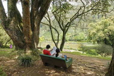 Sims Park Coonoor 'da deniz seviyesinden 1780 metre yükseklikte, Nilgiris, Tamil nadu, Hindistan