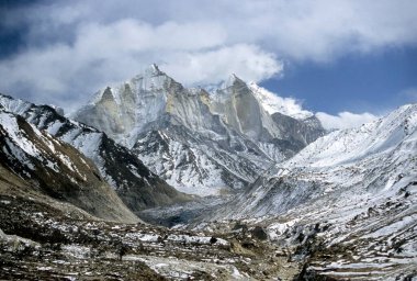 Bhujbasa, Ana Kamp, Gomukh, Himalaya, Uttranchal, Hindistan