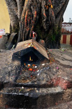 Nanda Devi Tapınağı, Almora, Uttaranchal Uttarakhand, Hindistan 