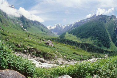 Dağlar, çiçekler vadisi, uttar pradesh, Hindistan