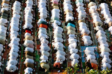 Mumbra 'da namaaz sunan Müslümanlar; Bombay' ın dışında küçük bir kasaba; Maharashtra; Hindistan