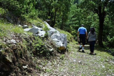 El ele yürüyen çift, Jabarkhet Doğa Koruma Alanı, Mussoorie, Uttarakhand, Hindistan 