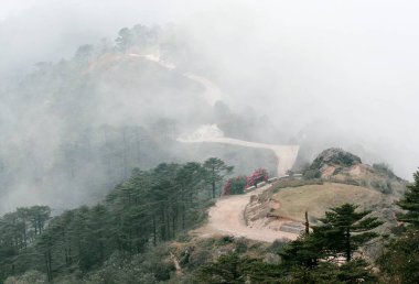 Way to Sandakfu Sandakphu , West Bengal , India clipart