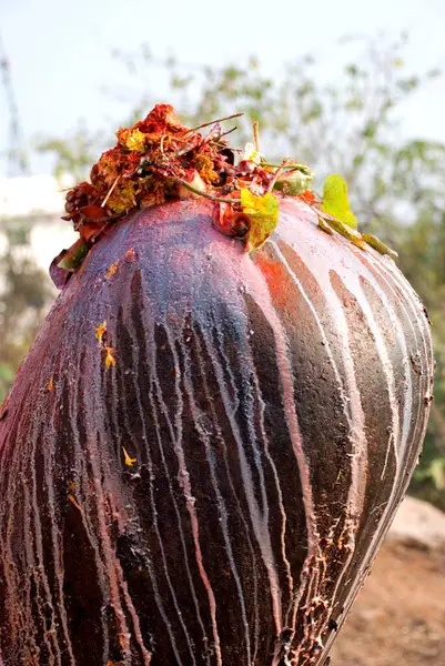 Keesaragutta, Hyderabad, Andhra Pradesh, Hindistan 'da mahashivaratri kutlamalarında şivlinga üzerine çiçekler. 