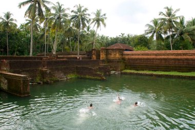 Tank Chemmanthat Tapınağı, Kerala, Hindistan