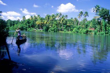 Koçin yakınlarında nehir (kochi); kerala; Hindistan