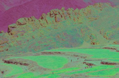 Renkli Tarlalar ve Rocky Duvarı, Hemis Köyü Ladakh, Jammu ve Kashmir, Hindistan, Asya 