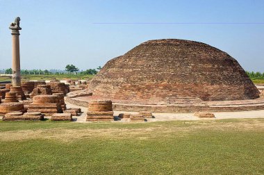 Ashoka Aslan sütunu ve Budist stupası Vaishali, Bihar, Hindistan 'da