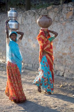 Kafasında su kabı taşıyan kırsal kadınlar, Dilwara, Udaipur, Rajasthan, Hindistan 