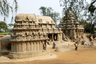 7. yüzyılda kurulan beş Rathas Pancha Rathas tapınağı; Mahabalipuram Mamallapuram; Tamil Nadu; Hindistan