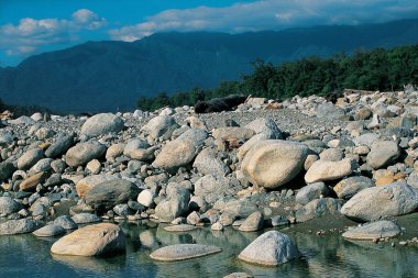 River Bed Deban, Namdapha Ulusal Parkı, Arunachal Pradesh, Hindistan, Asya