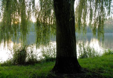 Fransa 'da göl manzarası