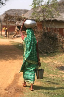 Kafasında su kabı, elinde kova taşıyan bir kadın Jharkhand, Hindistan 'da. 