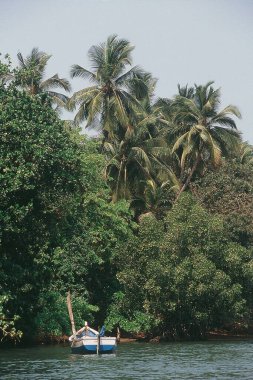 Tarkarli, Malvan, Maharashtra, Hindistan ve Asya 'da balıkçı teknesi ve yeşillik.