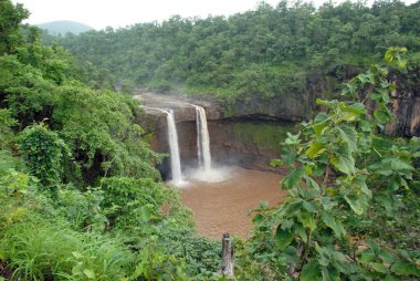 Girmad Sonbaharı; Dang Bölgesi; Gujarat; Hindistan