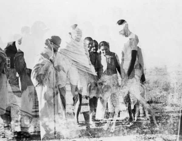 stock image Abha Gandhi , standing next to Mahatma Gandhi , fondling a young calf at Sevagram Ashram , 1941 , Balwant Singh