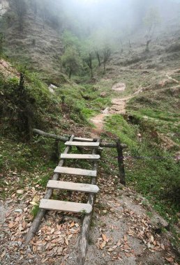Sandakfu Sandakphu yolu, Batı Bengal, Hindistan 