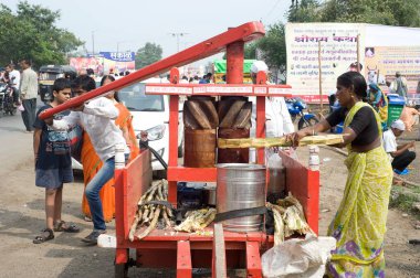 Geleneksel el yapımı meyve suyu öğütme makinesi, Nasik, maharashtra, Hindistan, Asya 