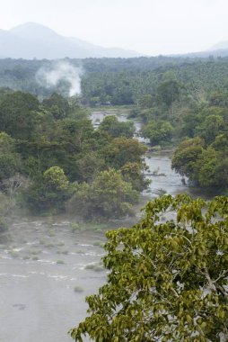 Sholayar Ormanı 'nın kıyısındaki Chalakkudy Nehri, Kerala, Hindistan 