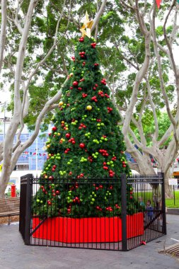 Açık havada süslemeli Noel ağacı