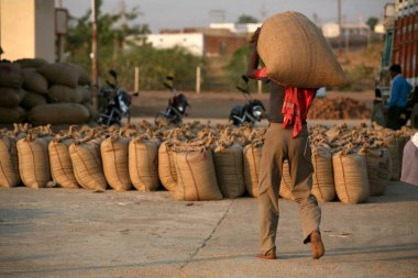 Harsud Mandi 'de kafasında gıda taneleri olan jüt çanta taşıyan işçi; Bhopal' de gıda taneleri pazarı; Madhya Pradesh; Hindistan