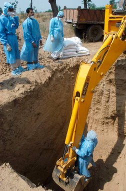 Sağlık çalışanlarından biri, Jalgaon, Maharashtra, Hindistan 'daki Hingona köyünde kuş gribi tespit edilirken, evin arka bahçesinde toplanan tavukları kireç tozu ile doldurmadan önce çukuru kontrol ediyor. 