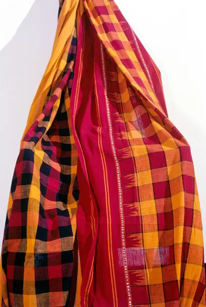 stock image Chettinad sari is a thick coarse cotton capable of withstanding roughest washes Checks stripes and temple border are the flavoured pattern 