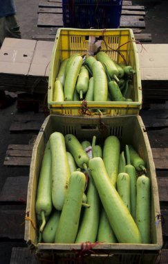 Kutulardaki yeşil kabağı kapat. 