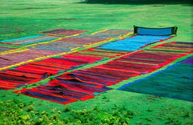Mariamman tankının, Madurai 'nin, Tamil Nadu' nun, Hindistan 'ın kurumuş yatağında sungadi sari kurutmak. 