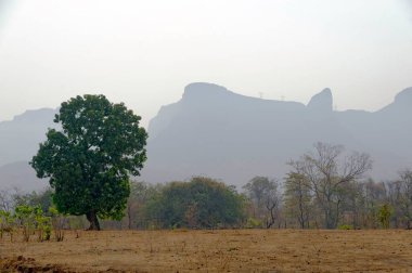 Maharashtra Hindistan Asya 'da Malshej ghat dağları