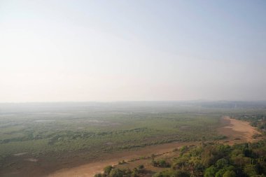 Mangroves trees ; Gorai ; Borivali ; Bombay Mumbai ; Maharashtra ; India clipart