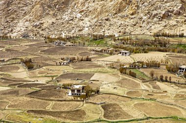 tarlaları ve evleri olan vadi ladakh jammu & kaşmir Hindistan Asya 