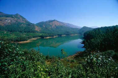 Fotoğraf noktası, Munnar, Kerala, Hindistan