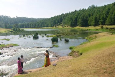 Pykara Nehri, Nilgiris bölgesi, Tamil Nadu, Hindistan 