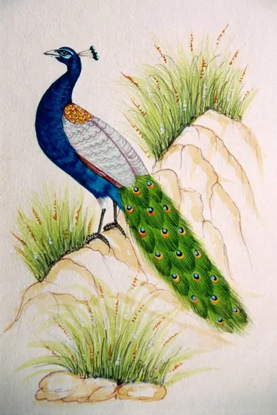 Miniature Painting Silk Peacock — Stock Photo, Image