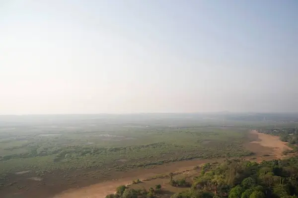 stock image Mangroves trees ; Gorai ; Borivali ; Bombay Mumbai ; Maharashtra ; India