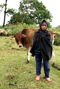 İnekli kırsal kız, Khasi kabilesi, Shillong, Meghalaya, Hindistan 