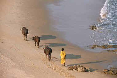 Tenneti Beach, Visakhapatnam, Andhra Pradesh, India  clipart