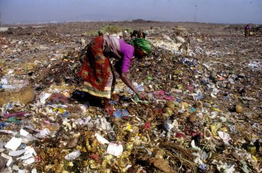Bombay, Maharashtra, Hindistan 'daki Deonar atık sahasına çöplük kazan paçavra toplayıcıları 